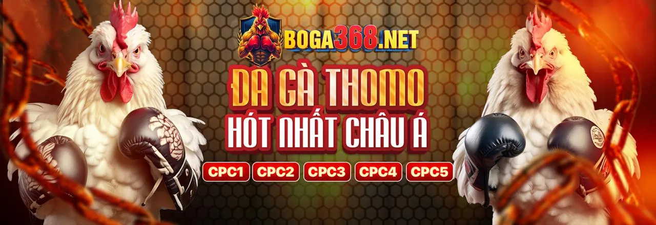 Tỷ lệ thắng cao và tiền thưởng lớn