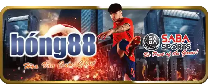 Cookie và công nghệ theo dõi